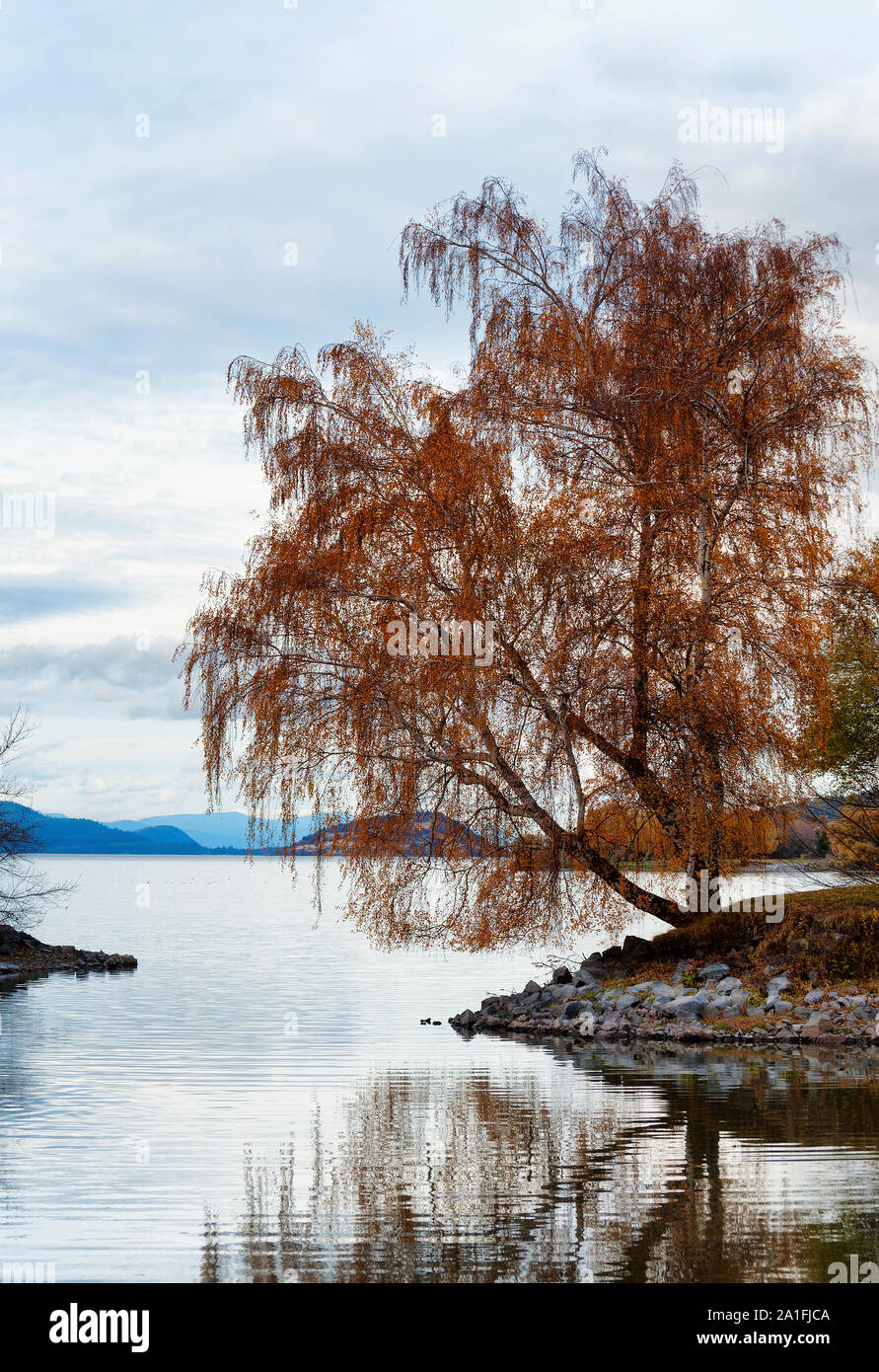 Lone oregon hires stock photography and images Alamy