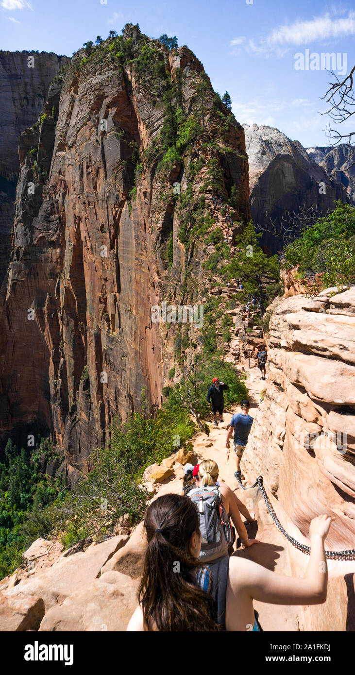 Top of the Angels Landing in the Zion National Park, Utah, USA Stock Photo