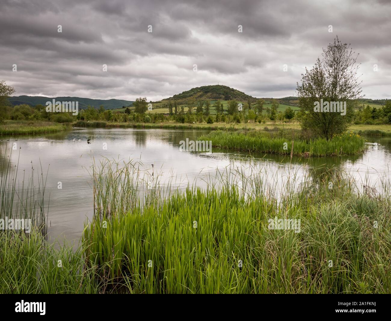 Lake in the Botanical Garden of Olarizu, in the Green Belt of Vitoria-Gasteiz, Basque Country, Spain Stock Photo
