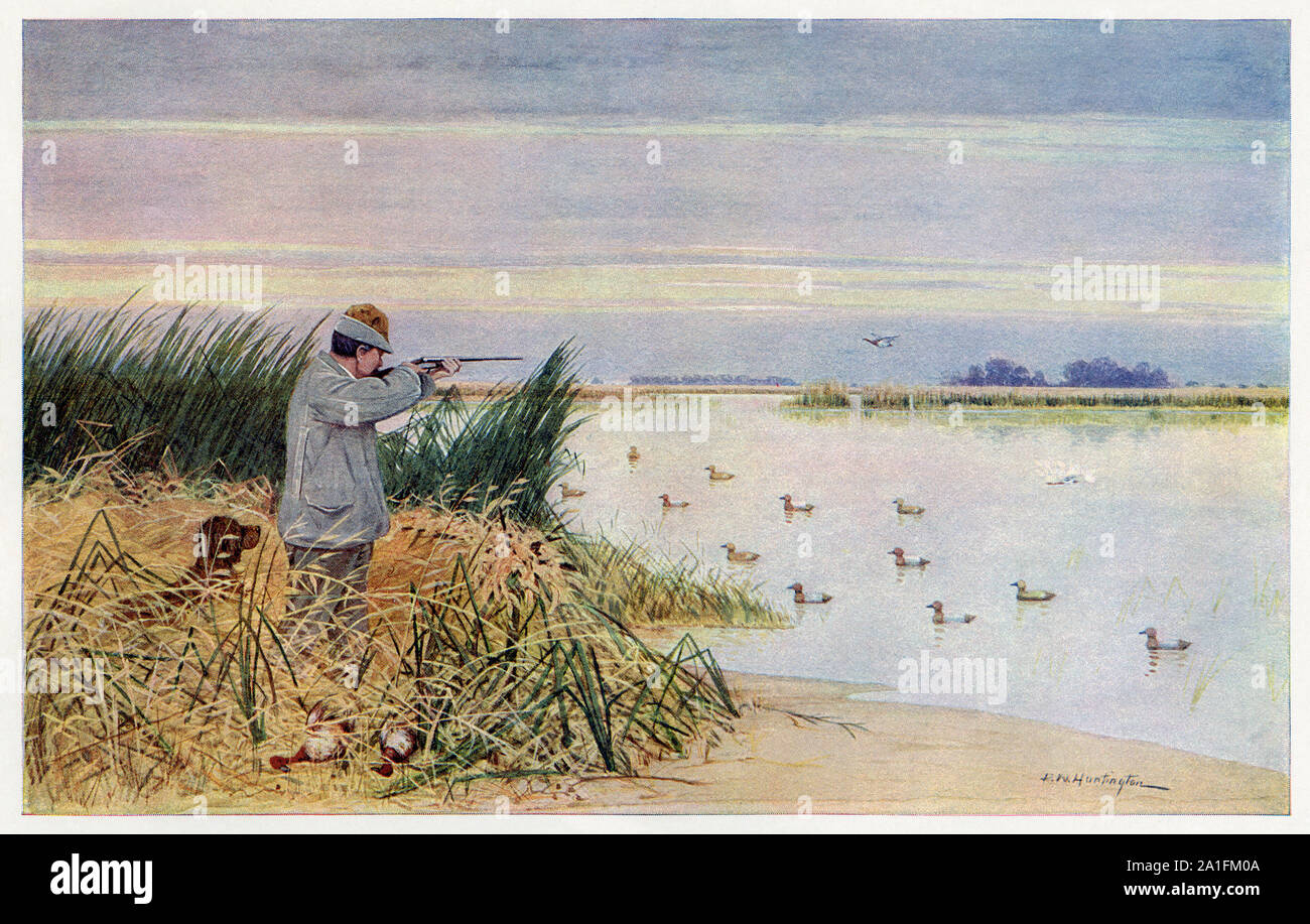 Duckshooting at the Ottawa Club, circa 1910. Color halftone
