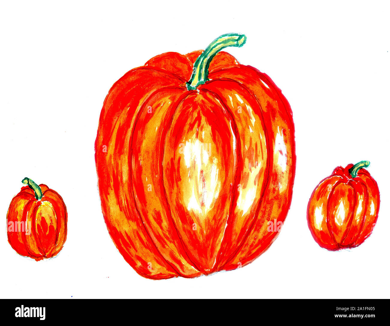 Watercolor and acrylic painted three orange pumpkins, hand drawn ...