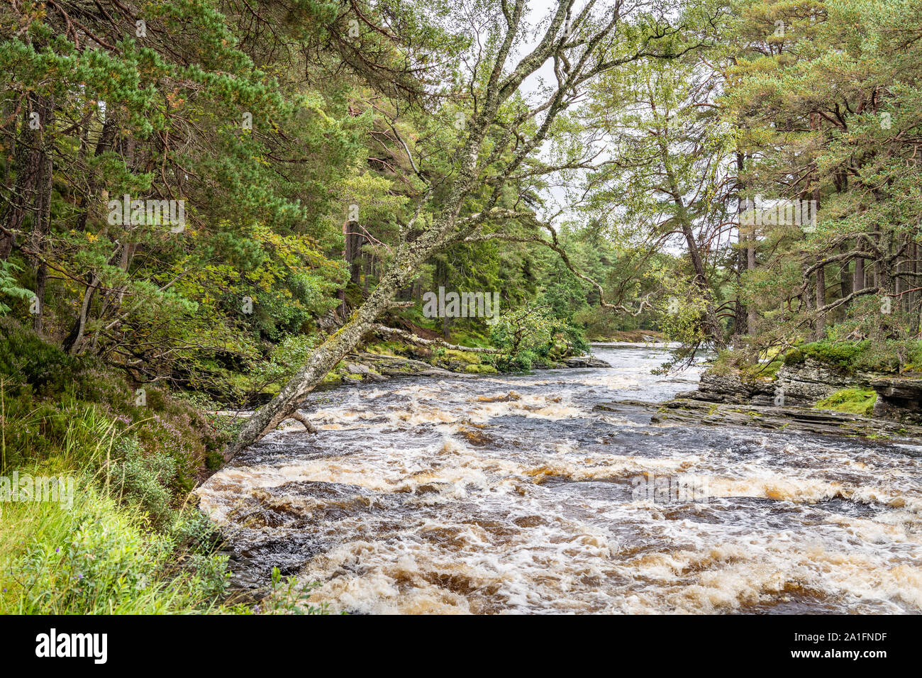 Linn of Dee, Mar Lodge Estate