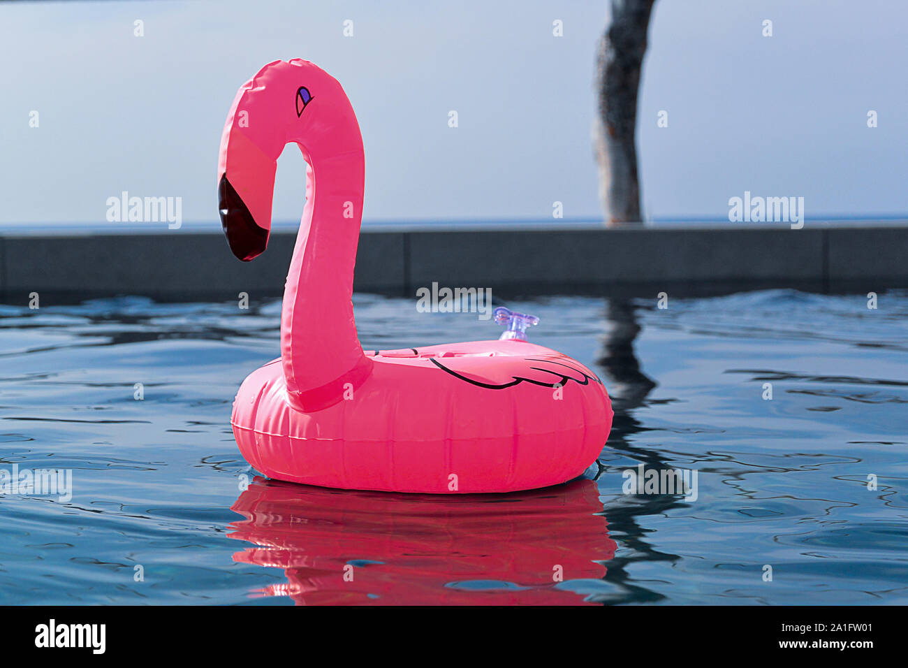 Pink inflatable flamingo drinks holder in a swimming pool Stock Photo