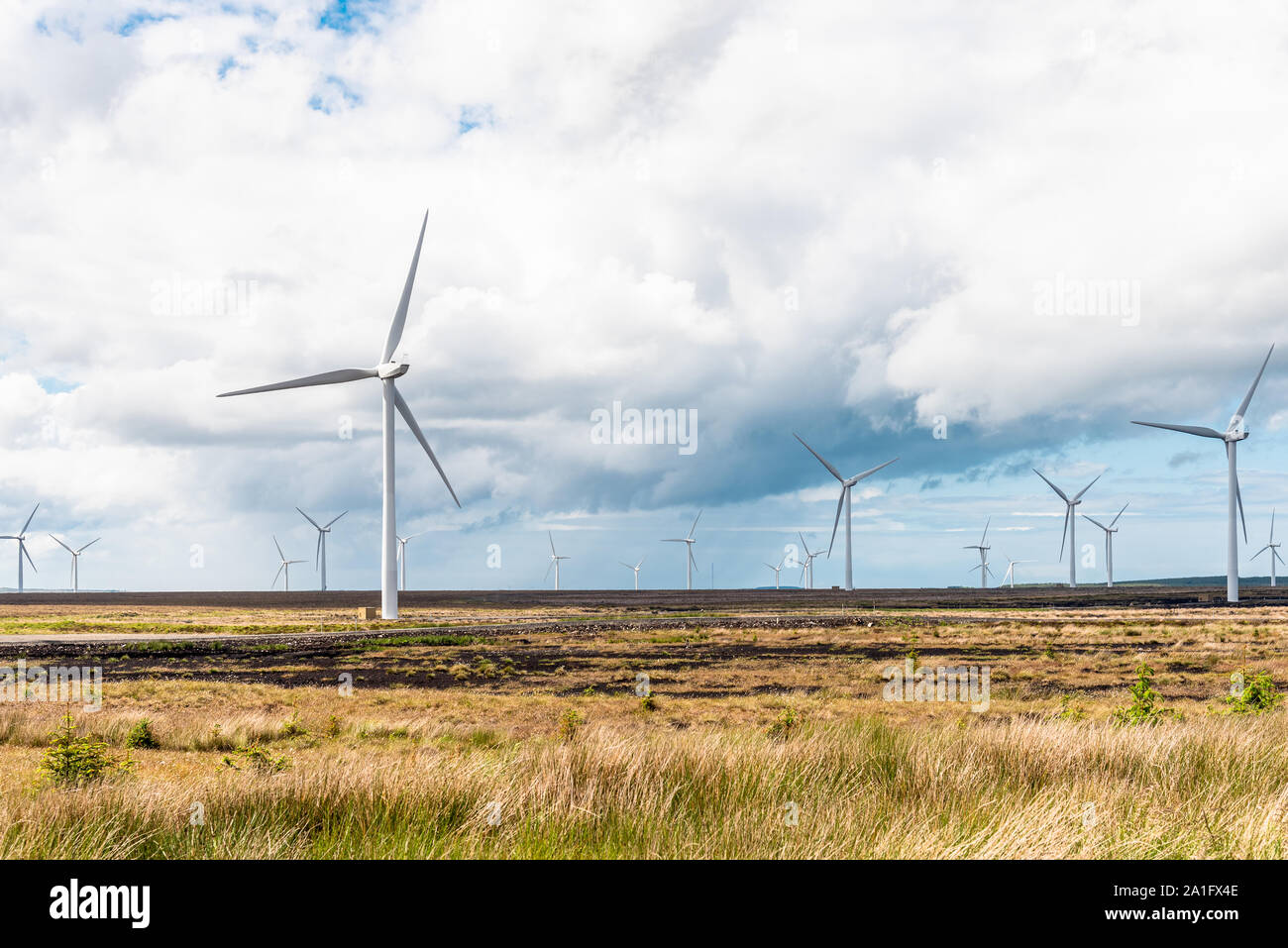 Wind farm in the countryside under cloudy sky in spring Stock Photo