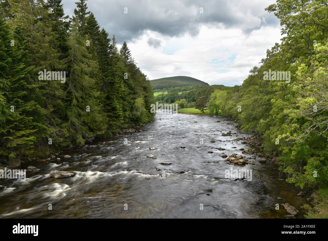 Mountain river flowing through a wooded valley on a cloudy summer day Stock Photo