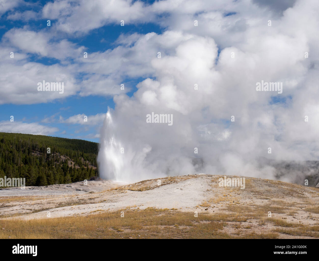 Old Faithful geyser erupting, Upper Geyser Basin, Yellowstone National Park, Wyoming, USA Stock Photo