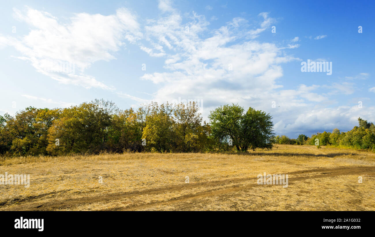 Autumn nature landscape with trees and road Stock Photo - Alamy