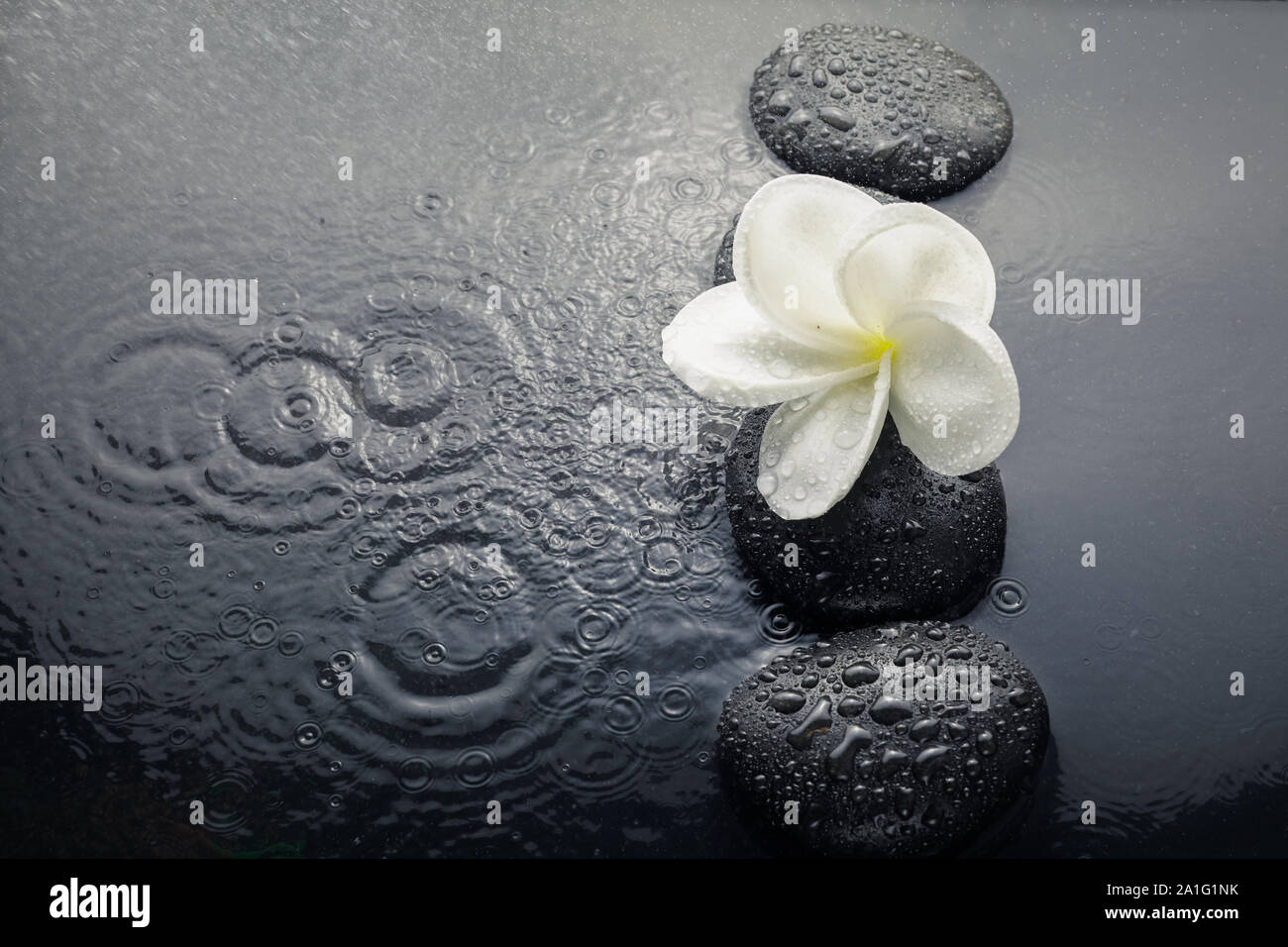 Japanese Zen garden with stacked stones mirroring in water Stock Photo -  Alamy