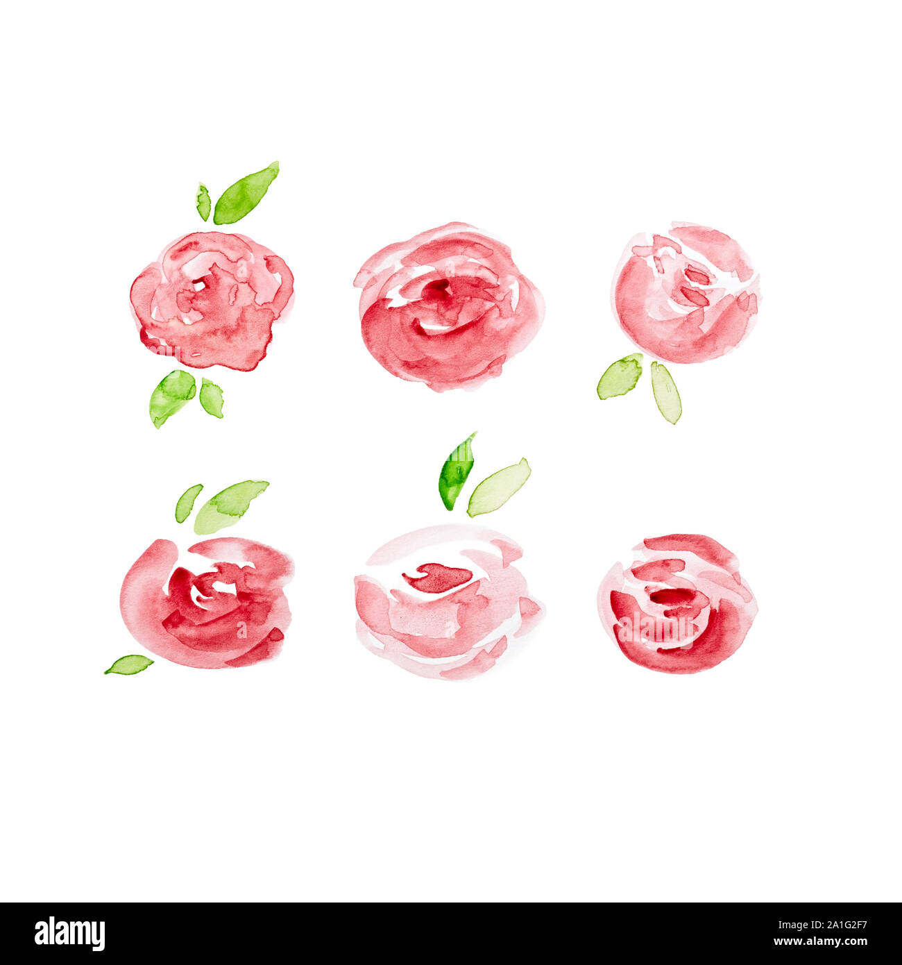 Watercolor Roses (hand painted Stock Photo - Alamy