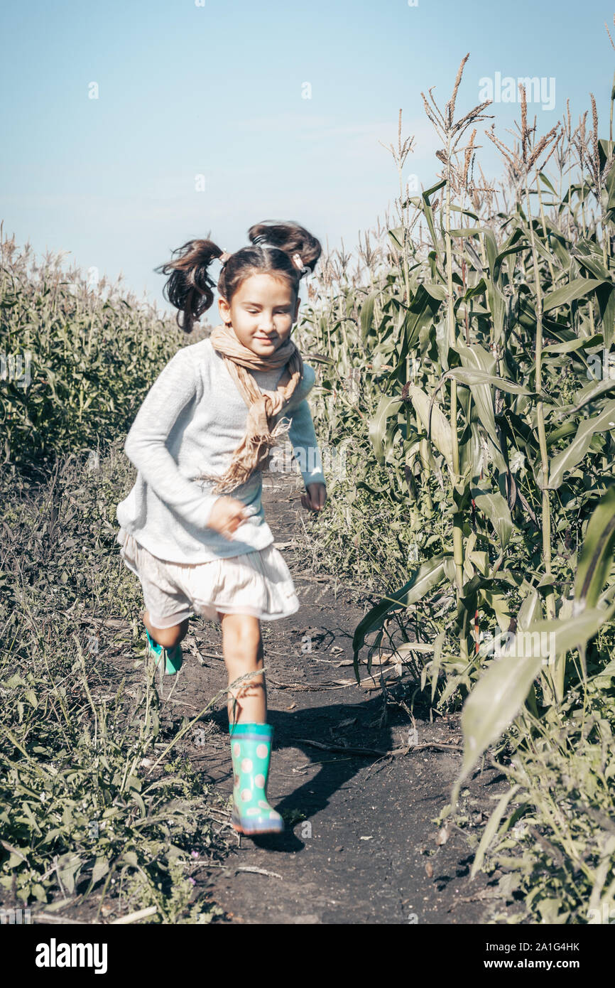 Happy little girl running through cornfield. Glad female child in casual clothes outdoor. Smiling kid in village. Girl with satisfied facial expressio Stock Photo