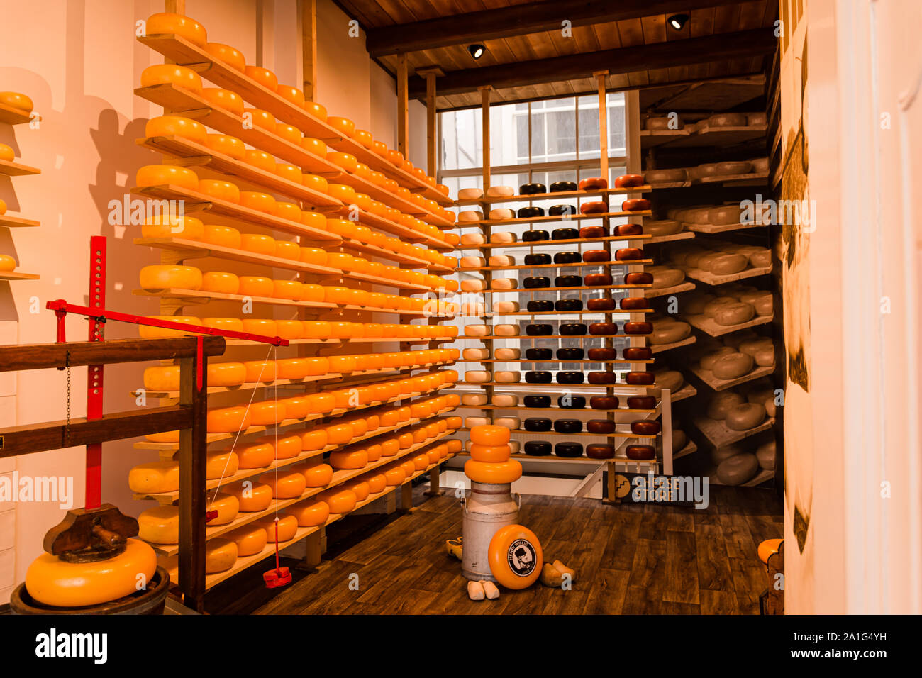 Dutch cheese shop with cheeses in black and yellow packaging Stock Photo