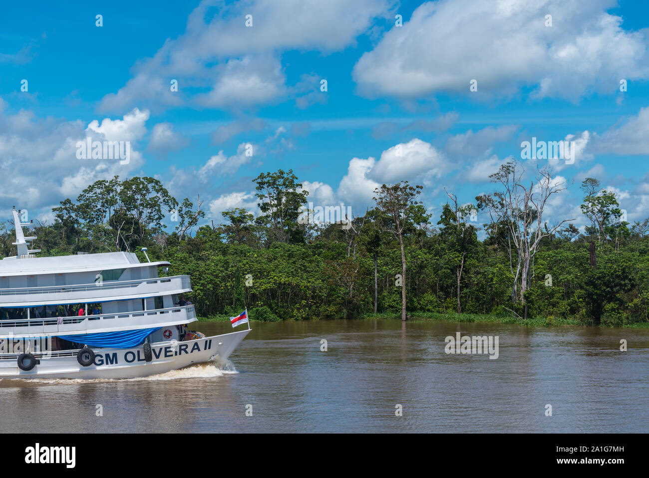 Obersations on a two-day boat trip from Manaus to Tefé, month of May, Rio Solimoes, Amazonas, end of rainy season,The Amazon, Brazil, Latin America Stock Photo
