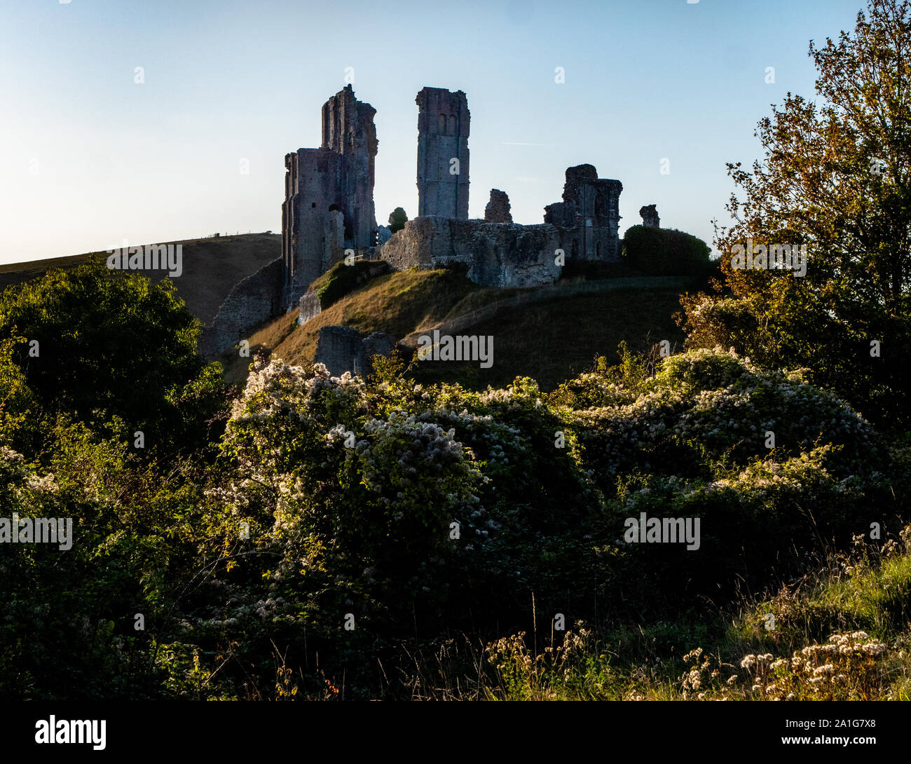 Late evening view of Corfe Castle ruins in Dorset UK Stock Photo