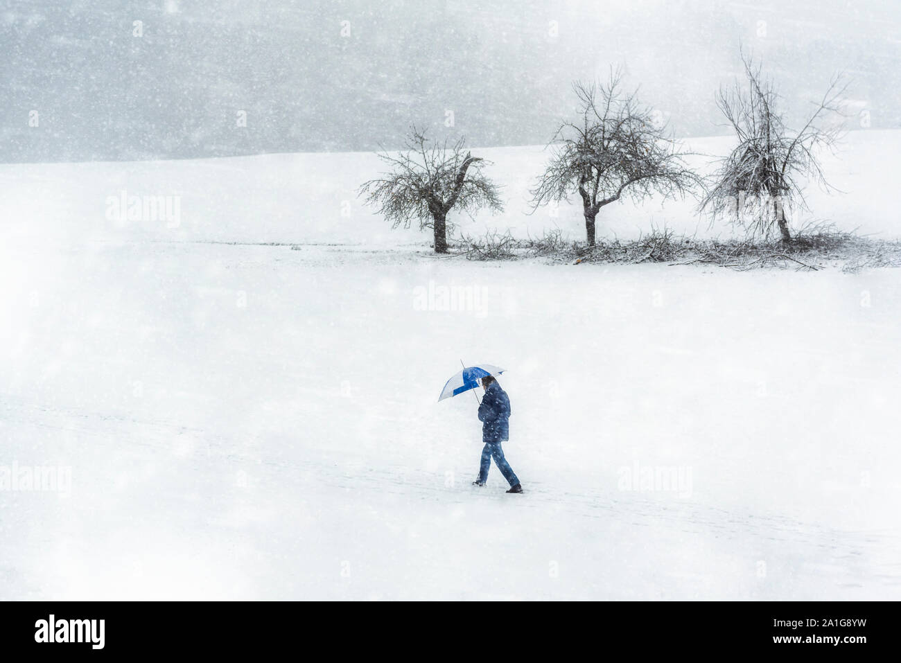 Man walking through bad winter snowstorm, on a cold day of January, in Germany. Winter bad weather scenery. Strong snowfall and windy day. Stock Photo
