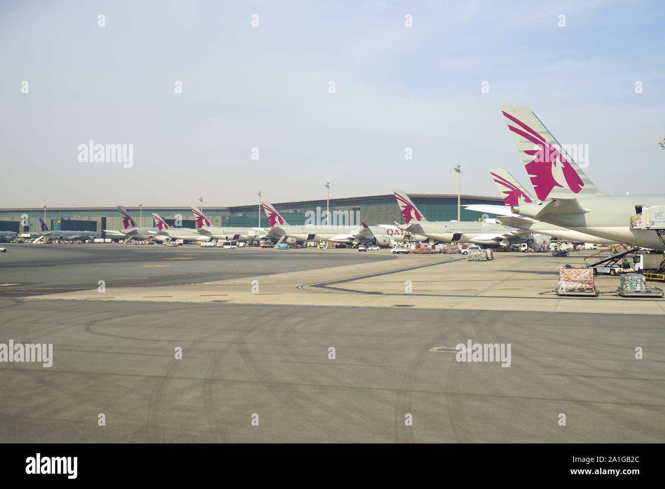 DOHA, QATAR 17 JUN 2019 View of airplanes from Qatar Airways (QR) at