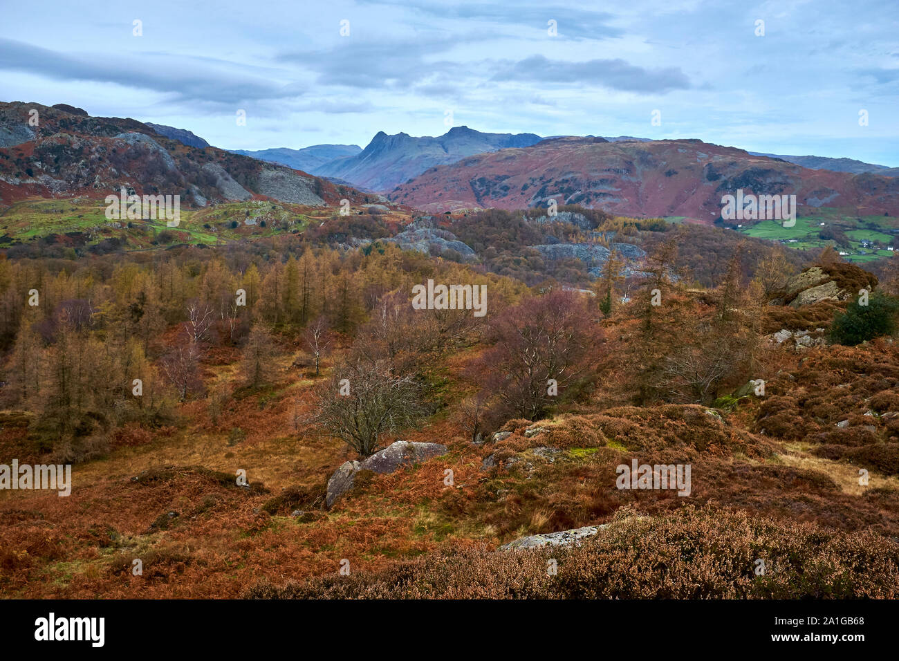 A spectacular winter view of The Holme Fells looking towards Great Langdale in The Lake District, England, UK Stock Photo