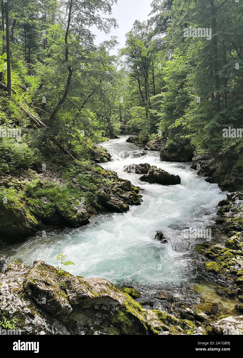 Rapid river hi-res stock photography and images - Alamy