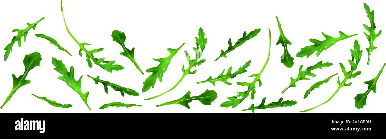 Beautiful fresh rucola isolated on white background. Salad or rucola ...