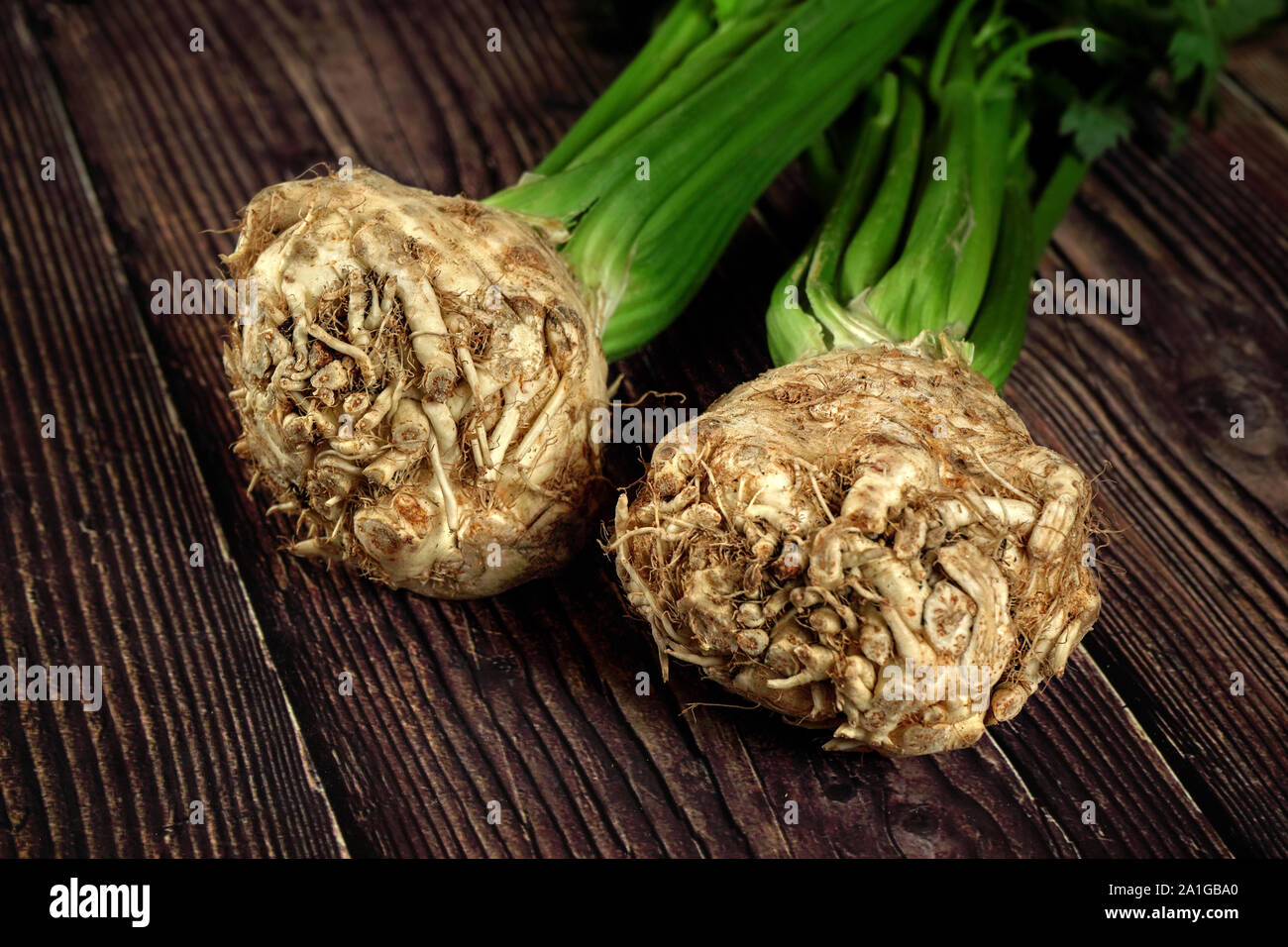 Celery bulb hires stock photography and images Alamy