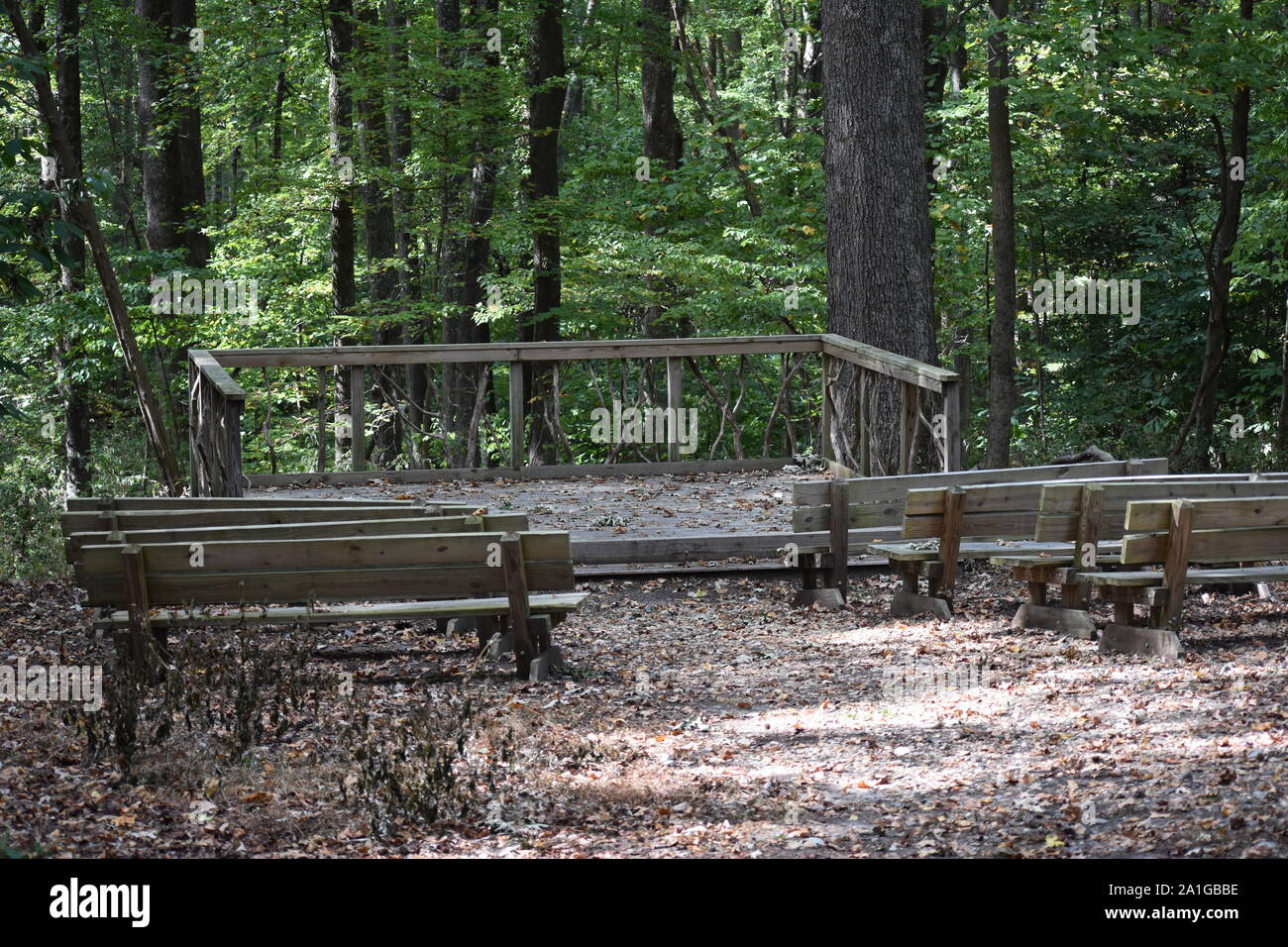 Wooden Stage in Sate Forest Stock Photo