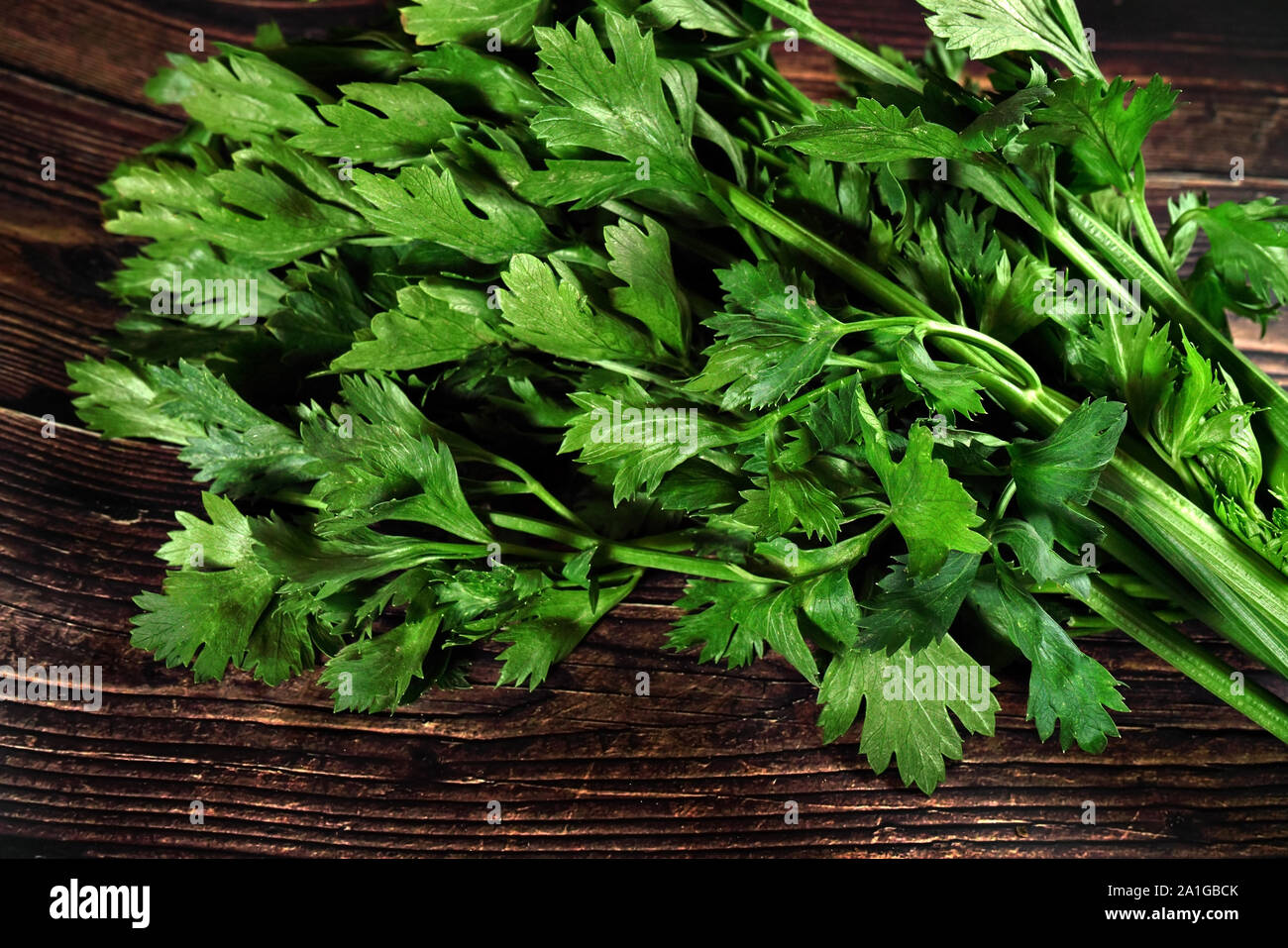 Green celery leaves used as herb, on dark wooden board, closeup photo