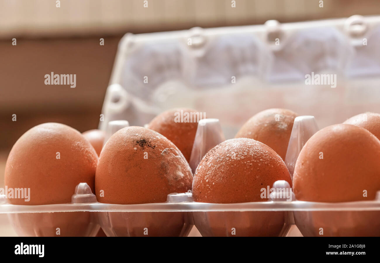 Spoiled egg hi-res stock photography and images - Alamy