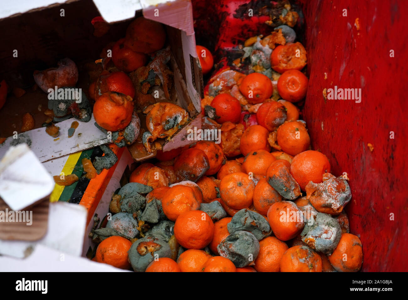 Garbage can food waste hires stock photography and images Alamy
