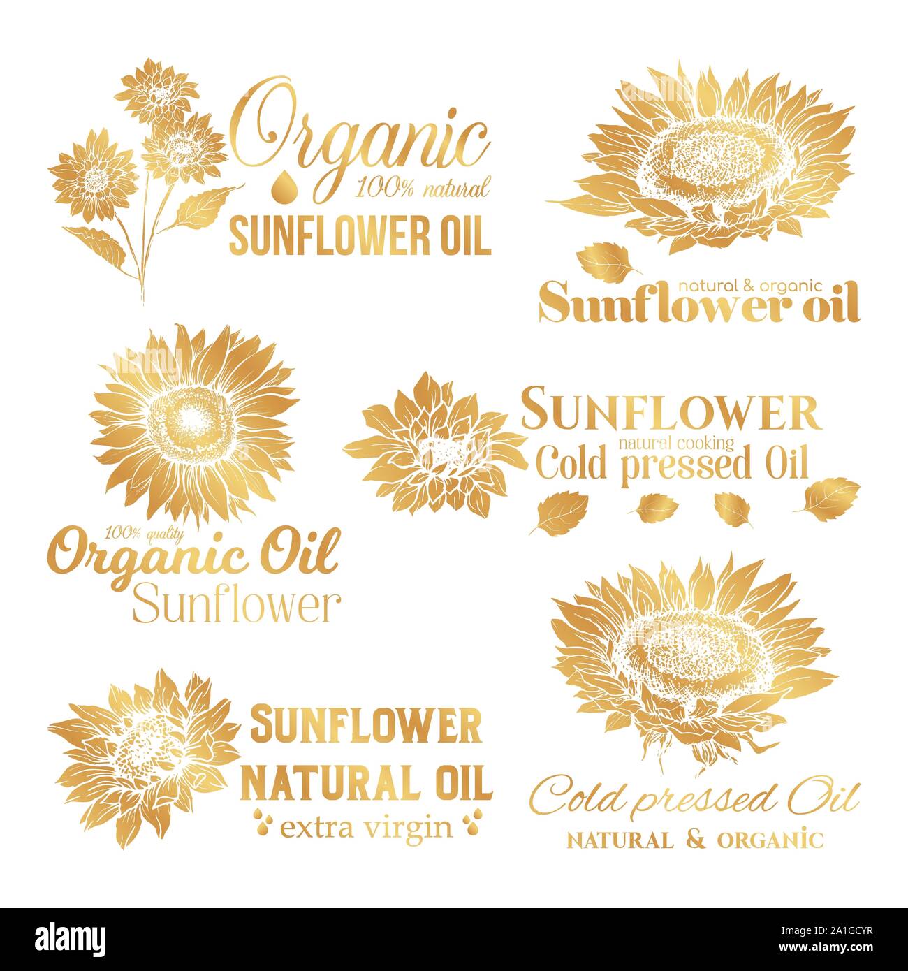 Golden Sunflower Oil Logos Set, Technology Wildflower Logo Templates for  Brabding Identty. Gold Vector Isolated Flowers Hand Drawings with Lettering  Stock Vector Image & Art - Alamy