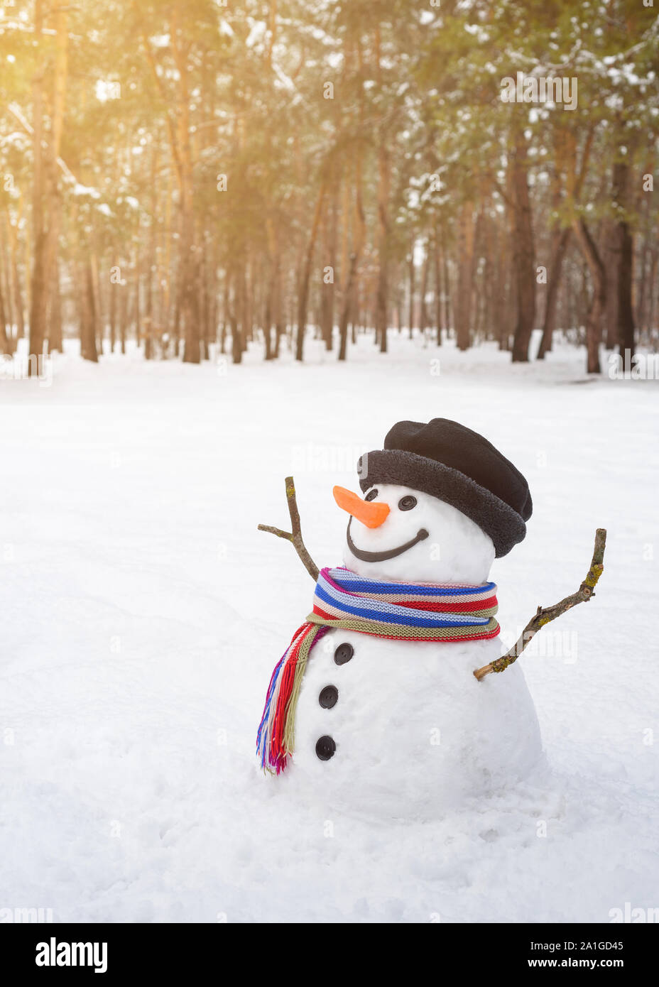 Beautiful snowman in the park. Cheerful winter snow fun for children Stock Photo