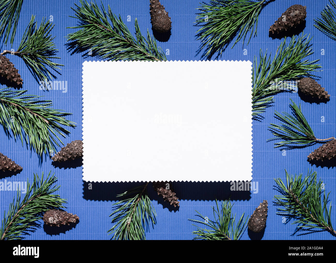 Christmas background with note paper on blue. Decor from pine branches and cones Stock Photo