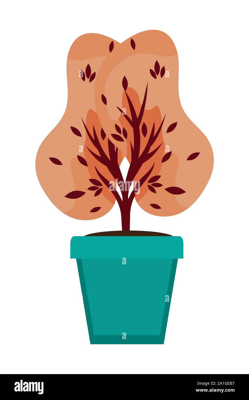 autumn plant in ceramic pot seasonal icon Stock Vector Image & Art - Alamy
