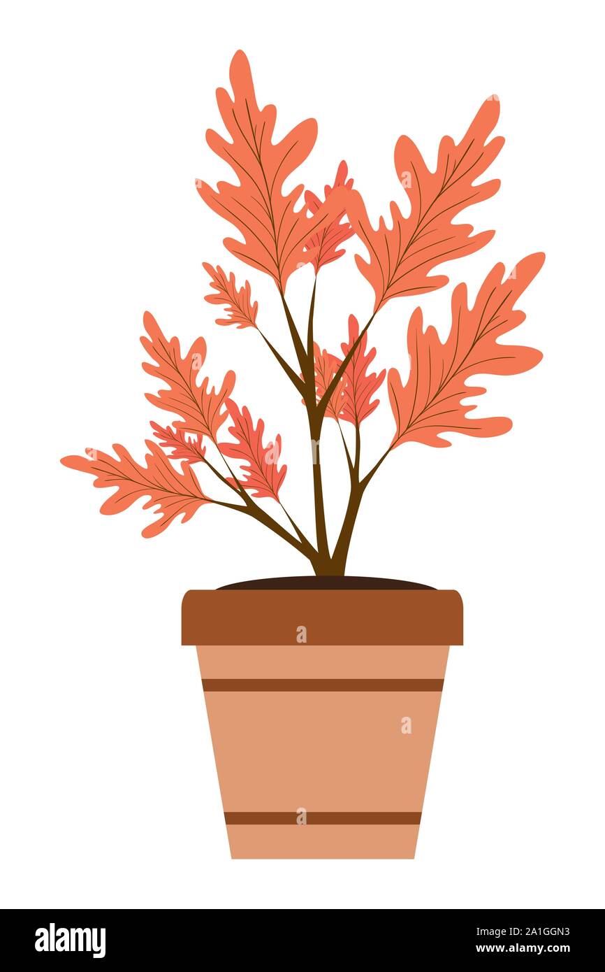 autumn plant in ceramic pot seasonal icon Stock Vector Image & Art - Alamy