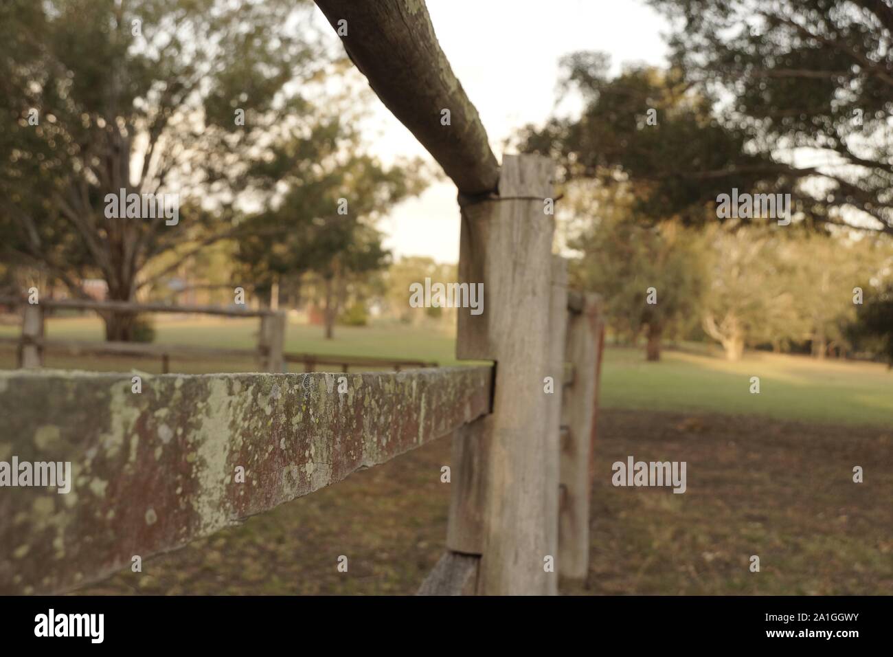 Pokolbin wine country farm fence Stock Photo