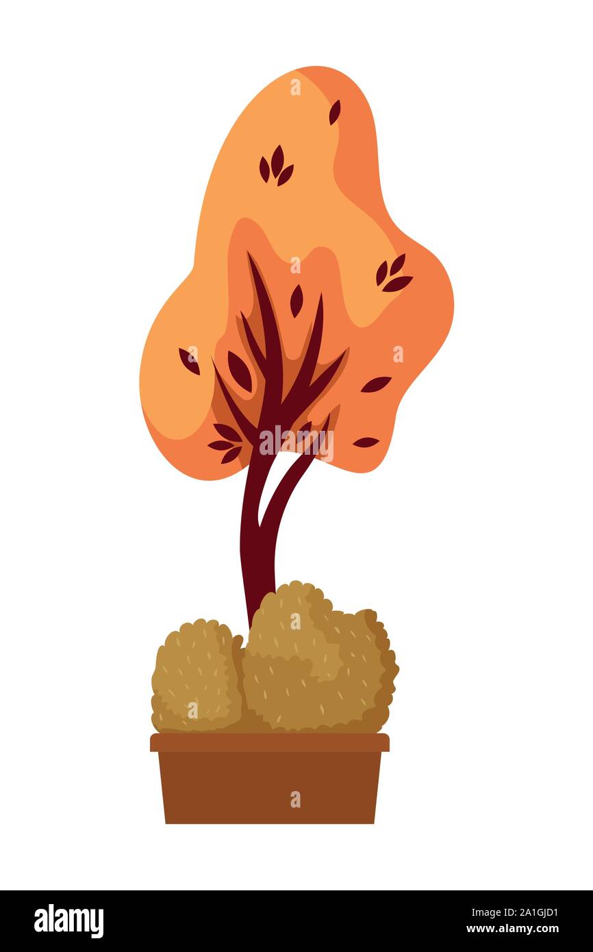 autumn tree plant with bush in ceramic pot Stock Vector Image & Art - Alamy