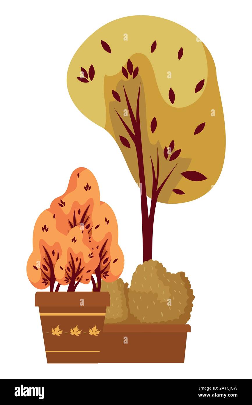 autumn tree plant with bush in ceramic pot Stock Vector Image & Art - Alamy