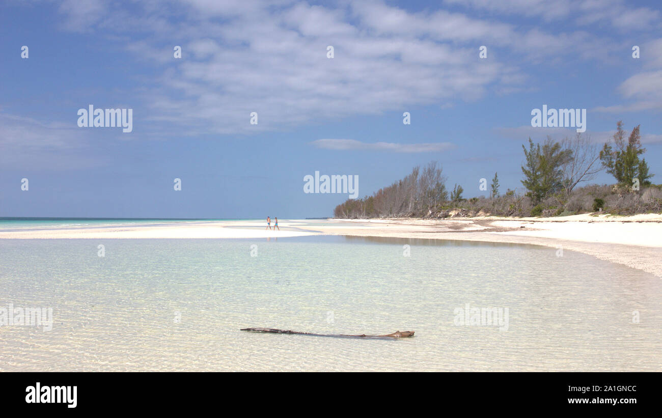 Perfect white beach on Grand Bahama island. A shallow sheet of water in the foreground - great for paddling on a hot day. A tranquil morning in April. Stock Photo