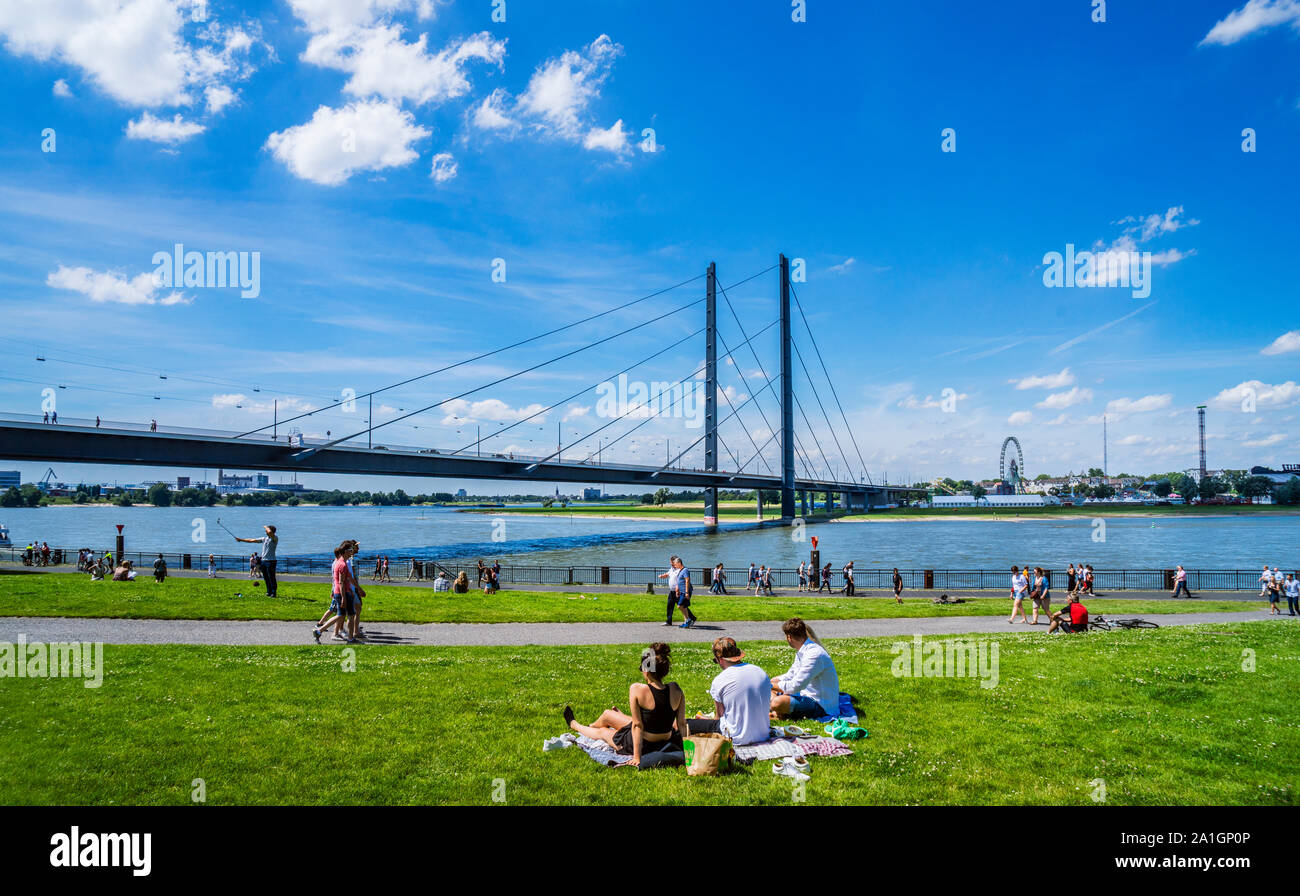 sunseekers on the meadows of Apollo Wiese on the banks of River Rhine with view of the Rheinkniebrücke. Düsseldorf, North Rhine-Westphalia, Germany Stock Photo