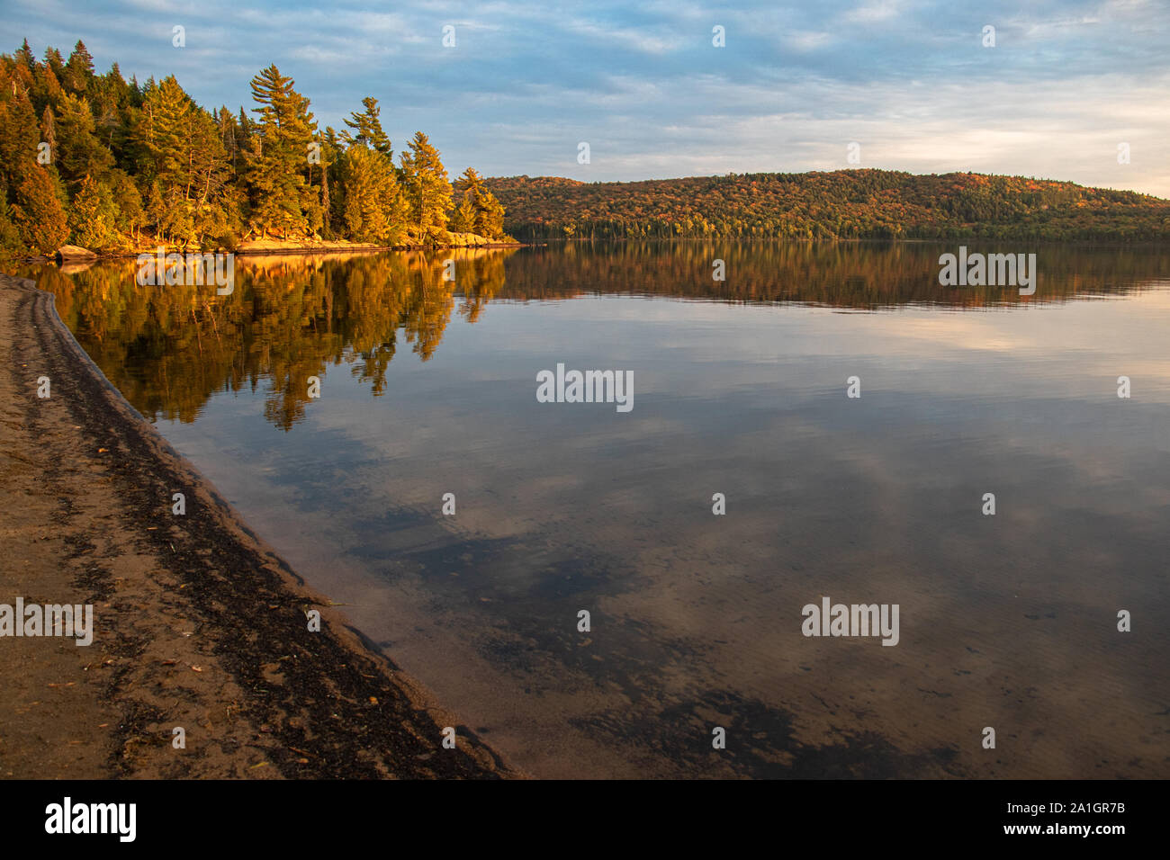 Golden light on forest along a calm lake at dusk in Autumn Stock Photo