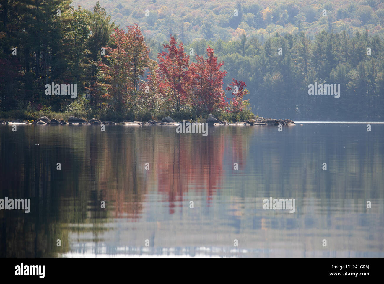 Soft Autumn colours reflected in placid water Stock Photo
