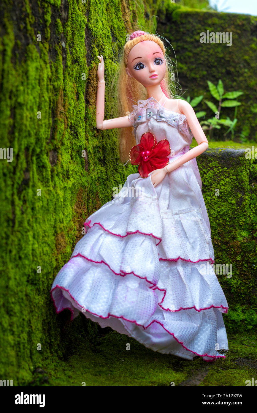 barbie frock long