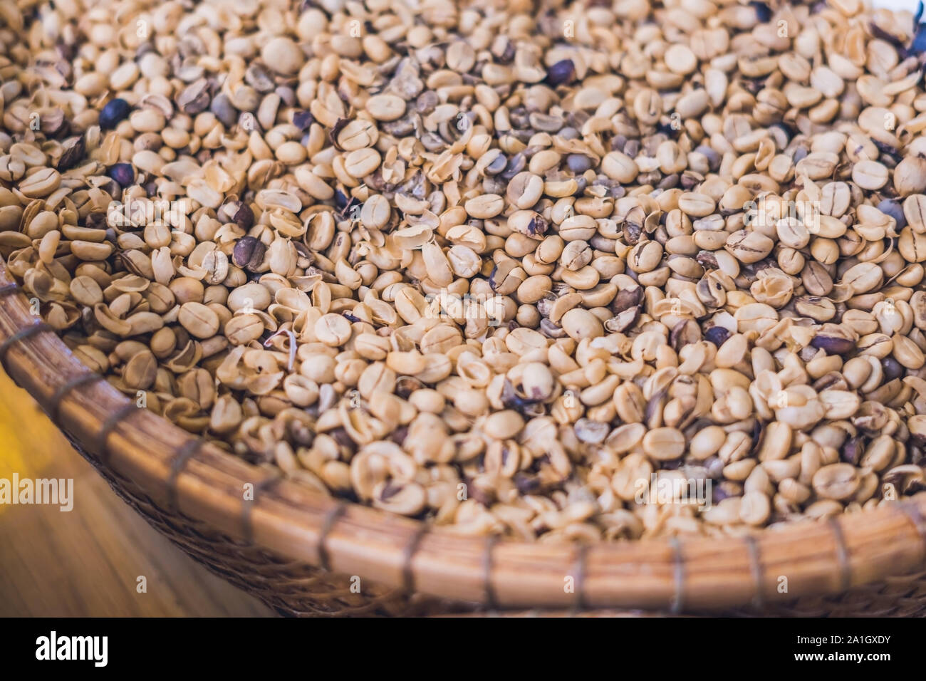 civet coffee ,Kopi Luwak ,Weasel coffee ,raw material for rarest most