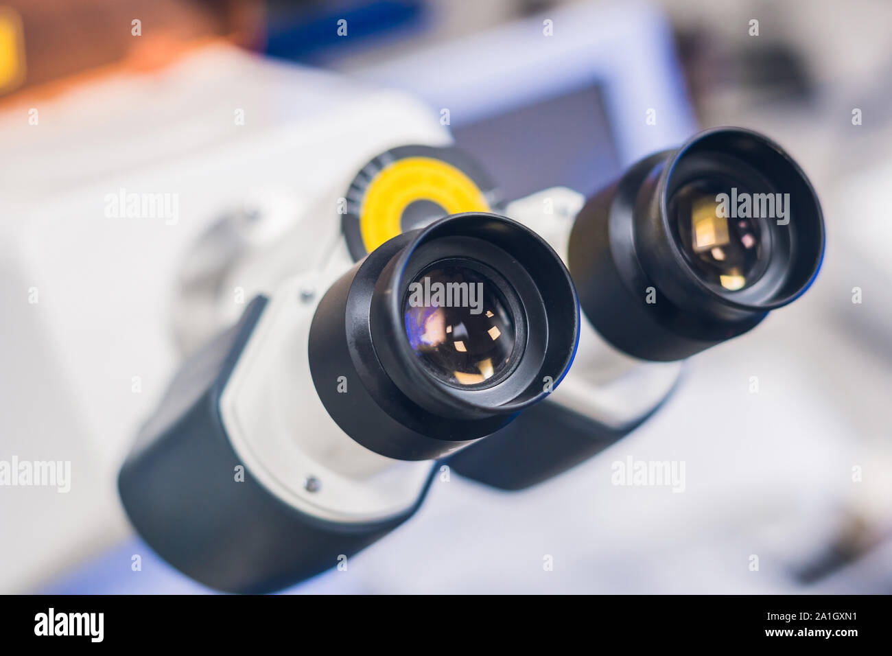 Scanning electron microscopy bacteria hi-res stock photography and ...