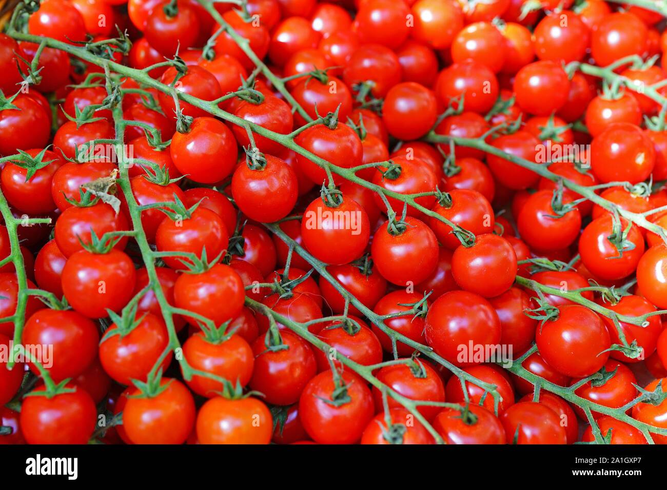 Branches of colorful tomatoes at the farmers market Stock Photo - Alamy