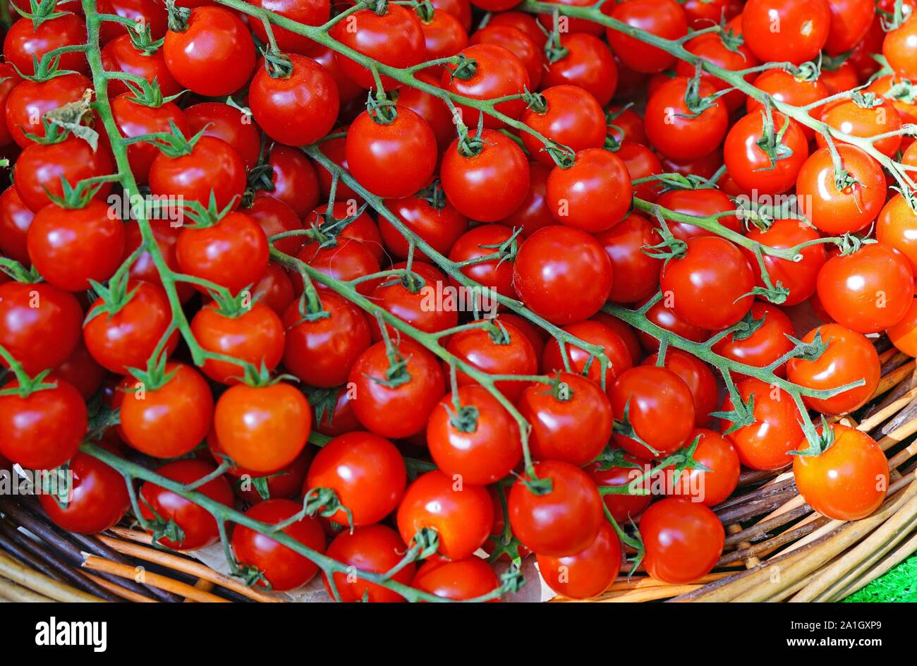 Branches of colorful tomatoes at the farmers market Stock Photo - Alamy