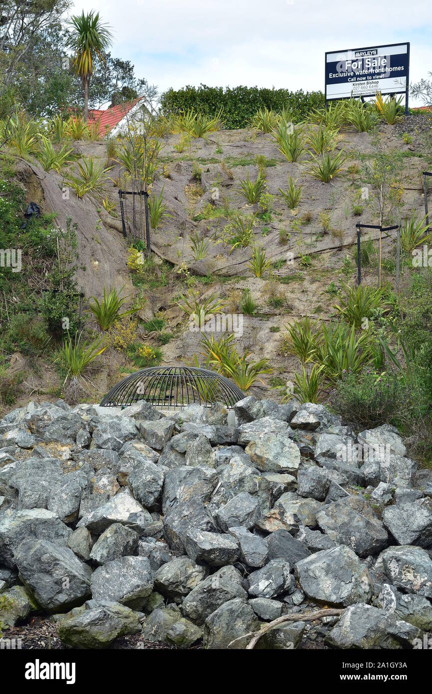 New housing sections with geotextile and native plants erosion