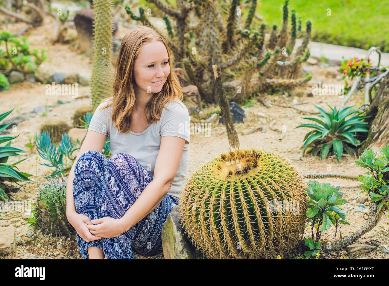 A young woman sits on the ground among the cactus. Spiny concept. Out of  comfort zone concept Stock Photo - Alamy