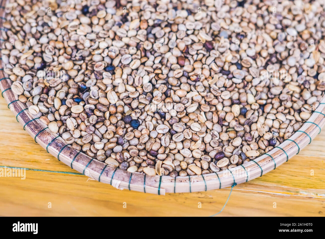 civet coffee ,Kopi Luwak ,Weasel coffee ,raw material for rarest most