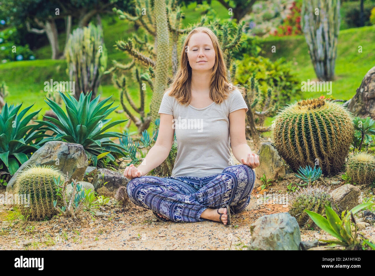 A young woman is meditating among a cactus. Spiny concept. Out of comfort zone concept.. Stock Photo