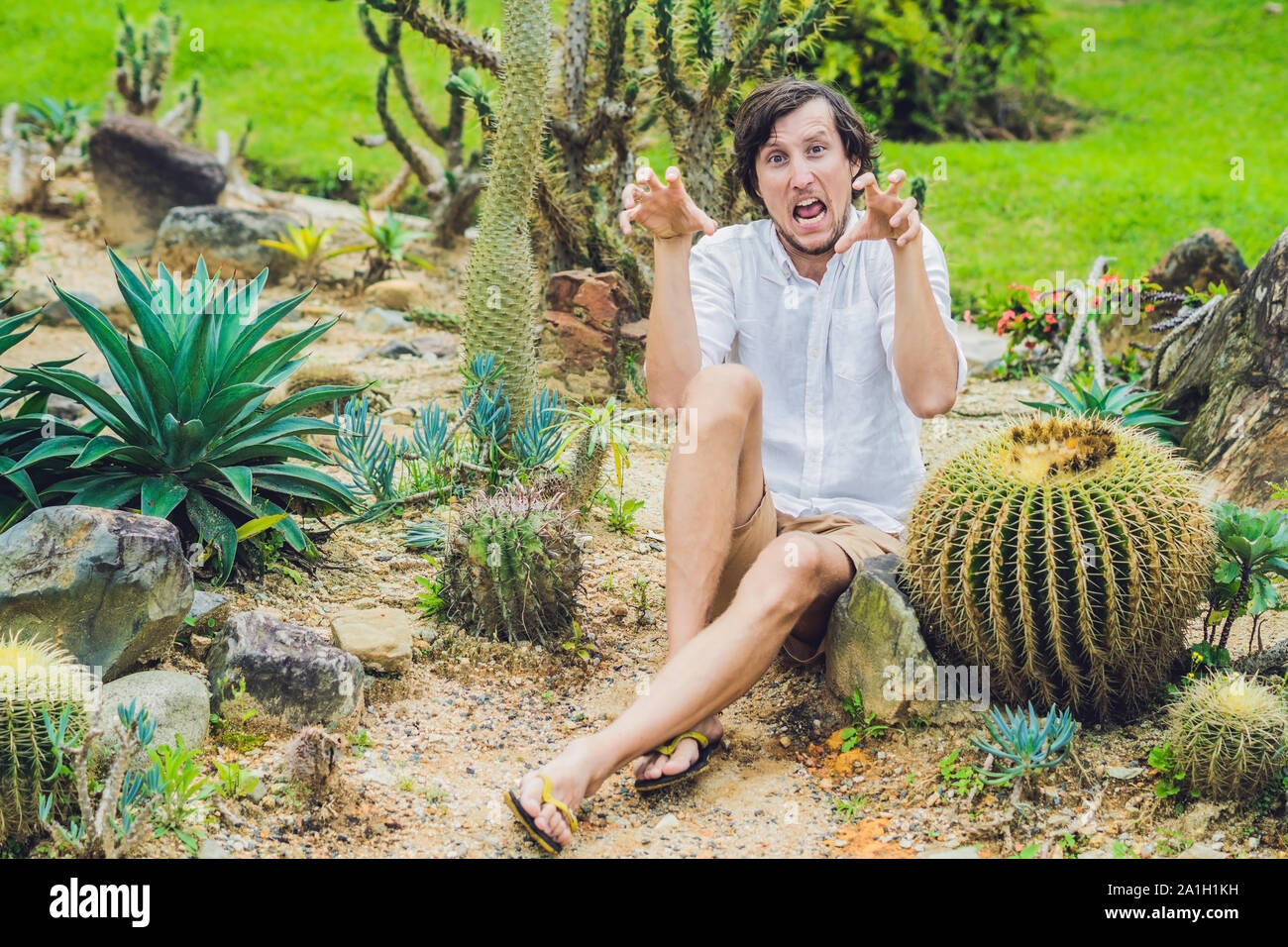 A man is sitting among large cacti. Pain concept Stock Photo Alamy