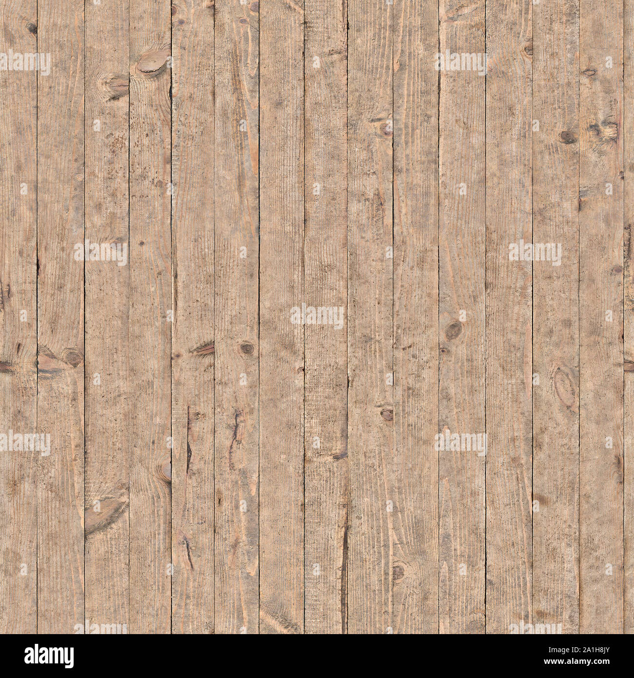 The background image with the texture image of a tree. Stock Photo